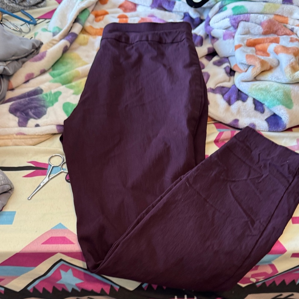 Alfani Deep Maroon Trousers